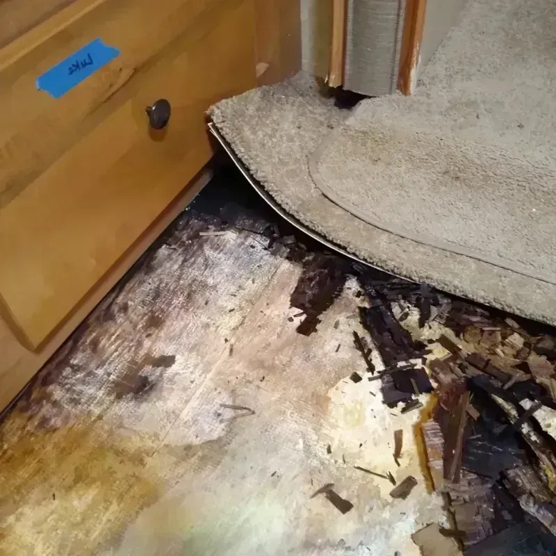 Wood Floor Water Damage in Champaign County, OH